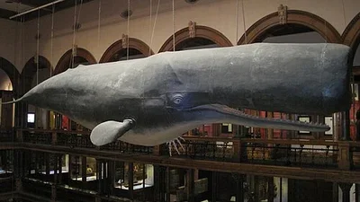 Bishop Museum