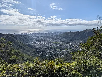 Manoa Falls Trail
