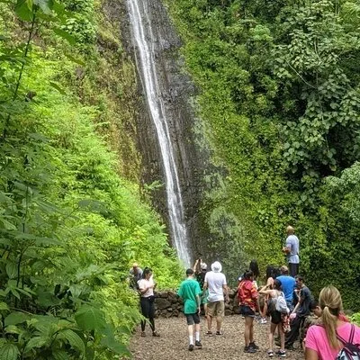 Electric Bike Ride & Manoa Falls Hike Tour